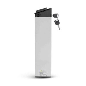 Batterie LITHIUM-ION pour ENGWE EP-2 PRO & ENGINE PRO