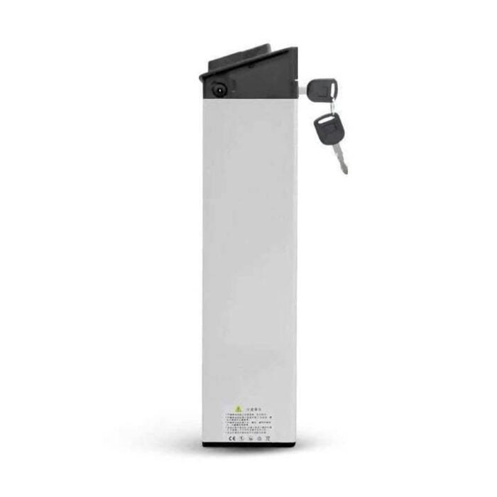 Batterie-LITHIUM-ION-pour-ENGWE-EP-2-PRO-ENGINE-PRO-.jpeg