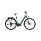 Bianchi-T-Tronik-C-Type-2.jpg