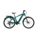 Bianchi-e-Omnia-T-Type-DEORE-10SP-2.jpeg