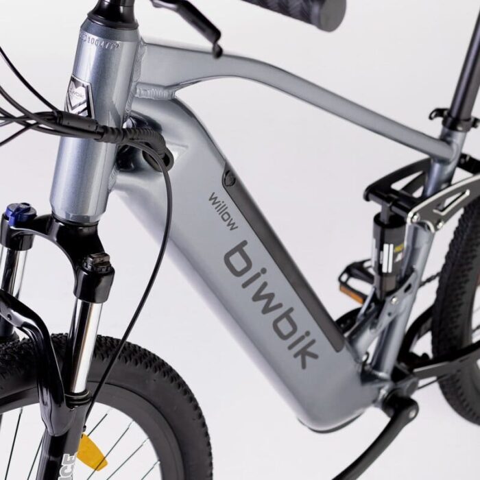 Biwbik-WILLOW-VTT-electrique-3.jpg