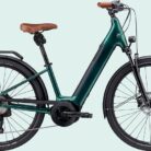 Cannondale-Adventure-Neo-1-EQ-.jpg