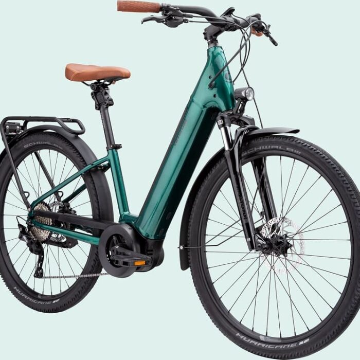 Cannondale-Adventure-Neo-1-EQ-1.jpg