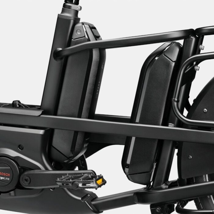 Cannondale-Cargowagen-Neo-1-3_11zon.jpeg