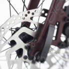 Electra-Townie-Path-Go-10D-EQ-Velo-Cruiser-Electrique-2024-6.jpg