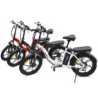 Fafrees-F20-250W-20-Velo-electrique-Pliant-9.jpeg