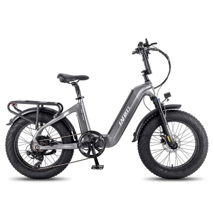 Fafrees-F20-Master-500W-20-Fat-Bike-VTC-electrique-2.jpeg