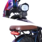 Fafrees-F20-Pro-250W-20-Velo-electrique-pliant-9.jpeg
