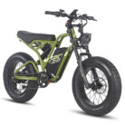 Fafrees-F20-ultra-750W-20-Fat-Bike-.jpeg