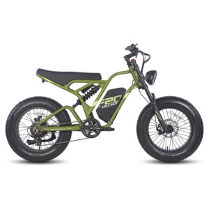 Fafrees F20 ultra 750W 20" Fat Bike