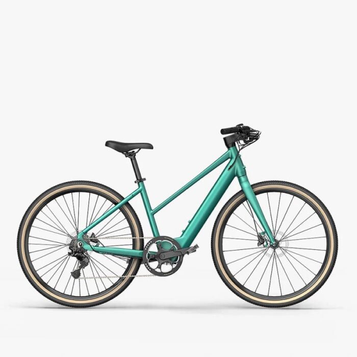 Fiido-C22-Gravel-Velo-electrique-.jpg