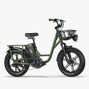 Fiido T1 Pro Vélo électrique Cargo