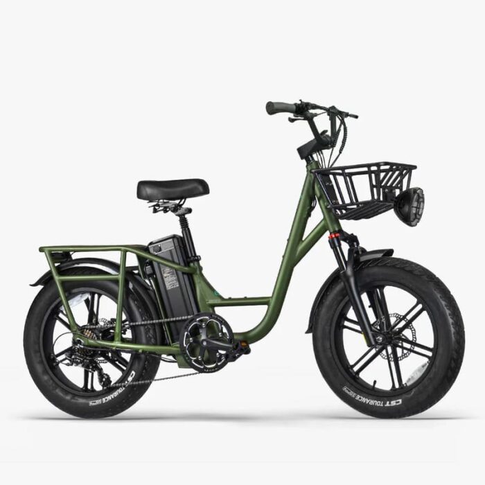 Fiido-T1-Pro-Velo-electrique-Cargo-.jpeg