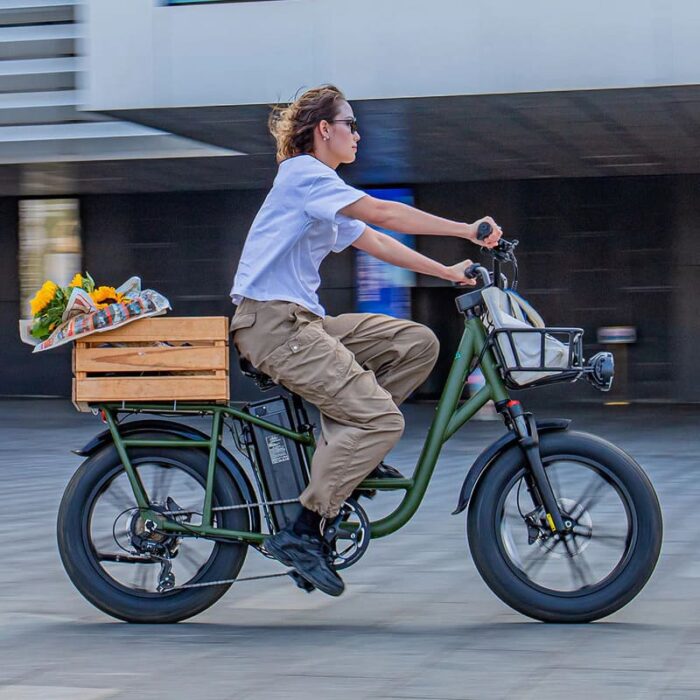 Fiido-T1-Pro-Velo-electrique-Cargo-2.jpeg
