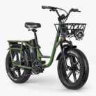 Fiido-T1-Pro-Velo-electrique-Cargo-4.jpeg