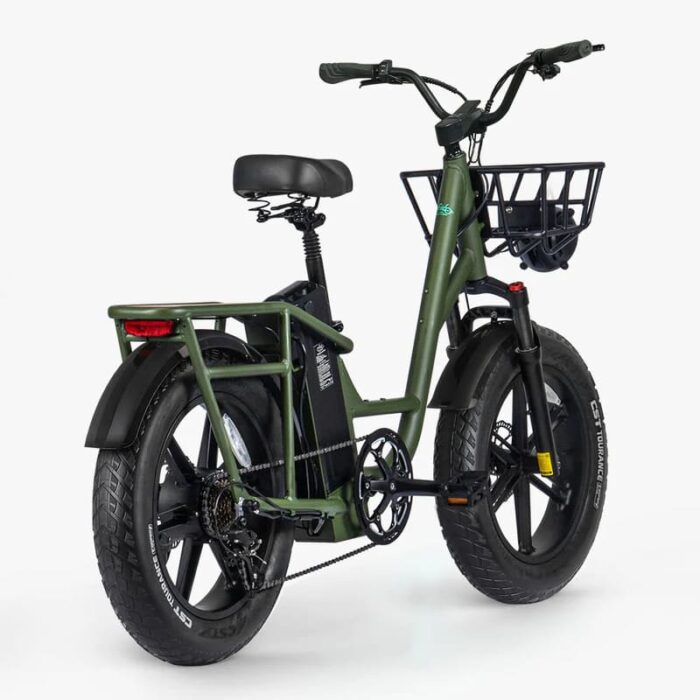Fiido-T1-Pro-Velo-electrique-Cargo-5.jpeg