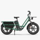 Fiido-T2-Velo-electrique-Longtail-.jpeg