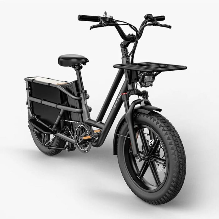 Fiido-T2-Velo-electrique-Longtail-5.jpeg