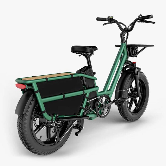 Fiido-T2-Velo-electrique-Longtail-6.jpeg