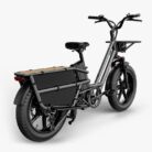 Fiido-T2-Velo-electrique-Longtail-7.jpeg