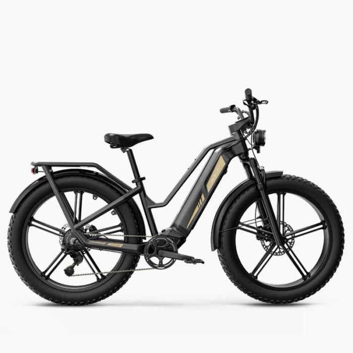 Fiido-Titan-Velo-electrique-Cross-.jpeg
