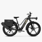 Fiido-Titan-Velo-electrique-Cross-1.jpeg