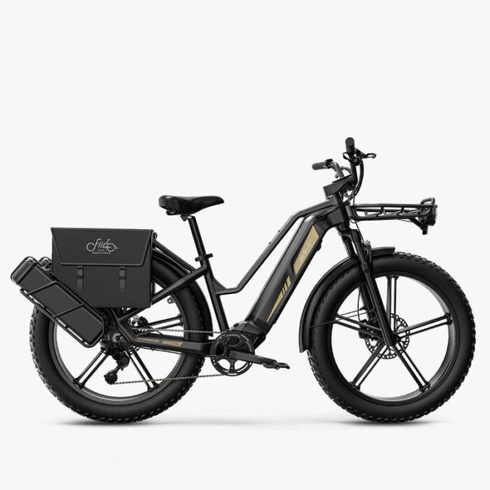 Fiido-Titan-Velo-electrique-Cross-1.jpeg