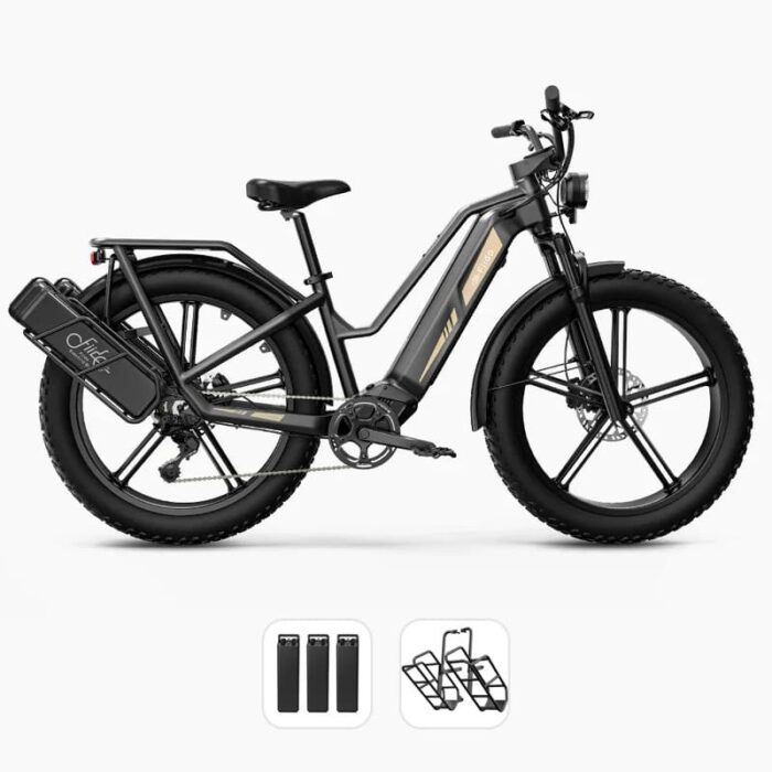 Fiido-Titan-Velo-electrique-Cross-2.jpeg