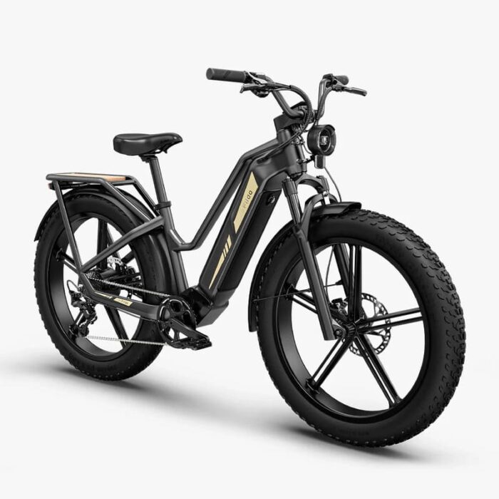 Fiido-Titan-Velo-electrique-Cross-5.jpeg