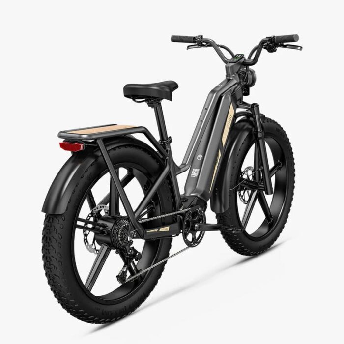 Fiido-Titan-Velo-electrique-Cross-6.jpeg