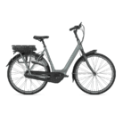 Gazelle-Orange-C8-HMB.png