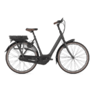 Gazelle-Orange-C8-HMB-3.png