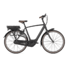 Gazelle-Orange-C8-HMB-4-1.png