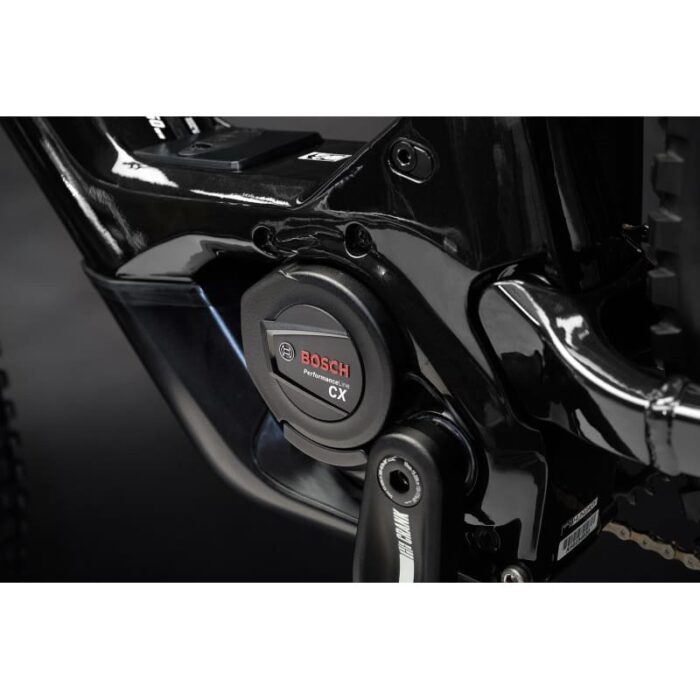 Haibike-ALLMTN-CF-8-2022-6.jpg