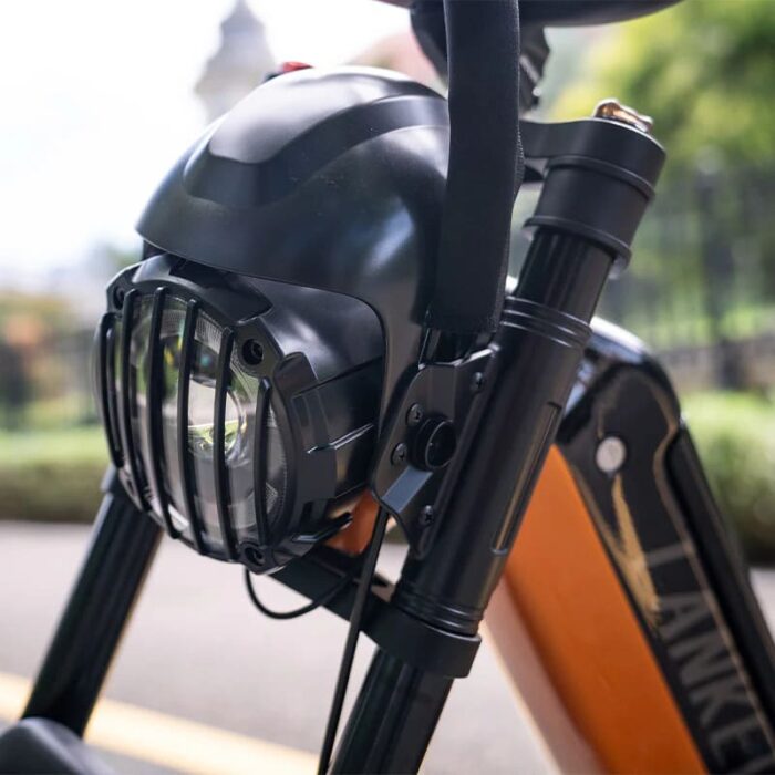 Lankeleisi-RX800-Plus-1000W-7.jpeg