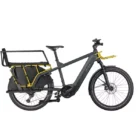 Riese-Muller-Multicharger2-GT-Family-2024-.webp