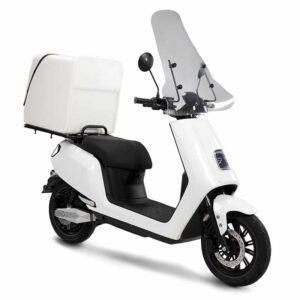 Scooter Electrique LVNENG S5 Delivery