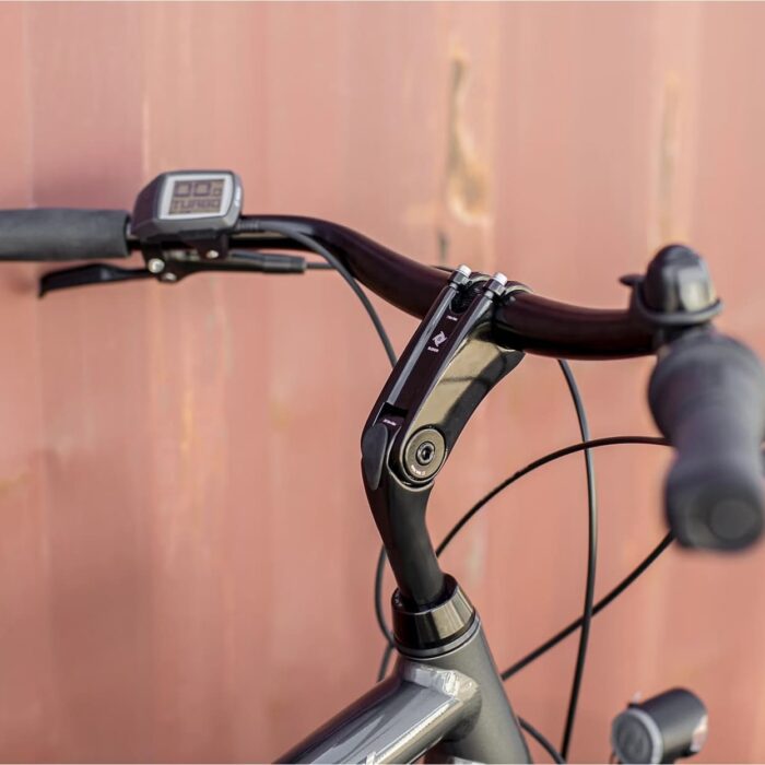 Trek-District-1-Shimano-Nexus-7V-Grey-3_11zon.jpeg