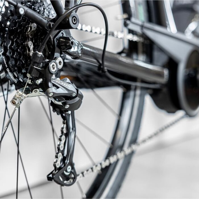 Trek-Verve-2-Shimano-Acera-Altus-2023-4_11zon.jpeg