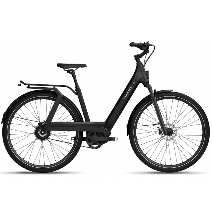 VTC-Electrique-Femme-Tenways-AGO-T-.png