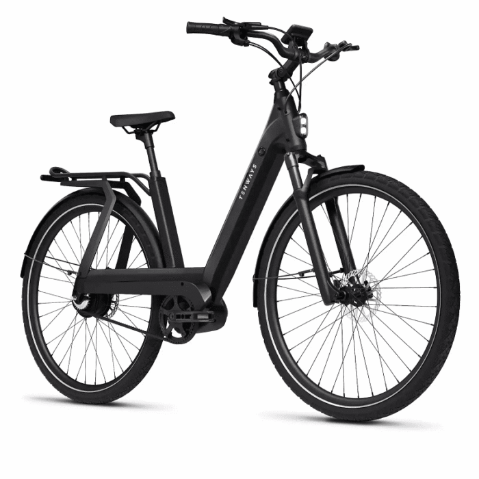 VTC-Electrique-Femme-Tenways-AGO-T-1.png