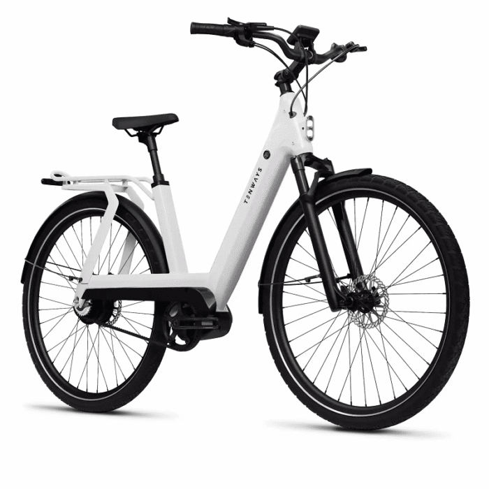 VTC-Electrique-Femme-Tenways-AGO-T-6.png