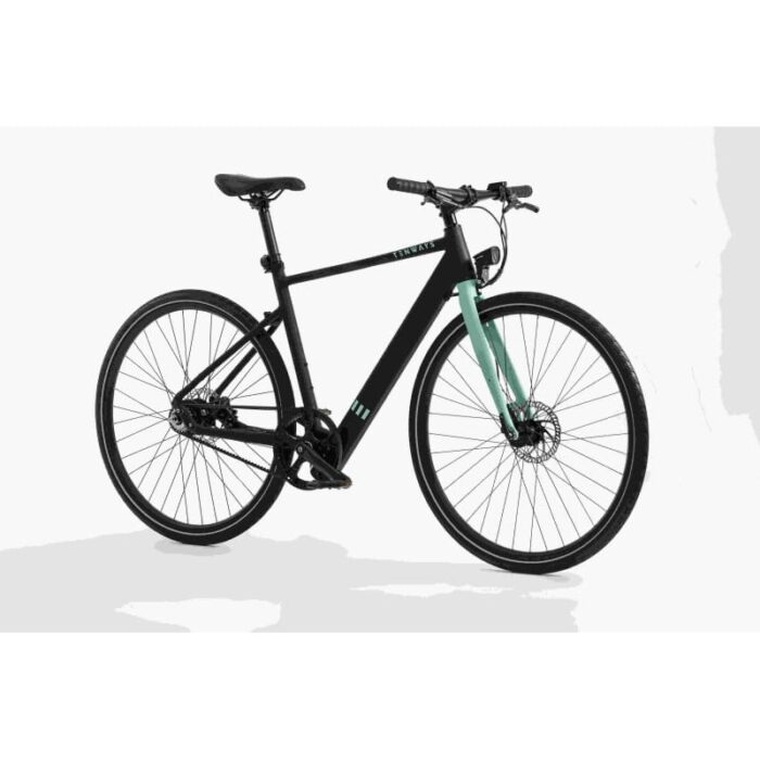 VTC-Electrique-Tenways-CGO600-4.jpg