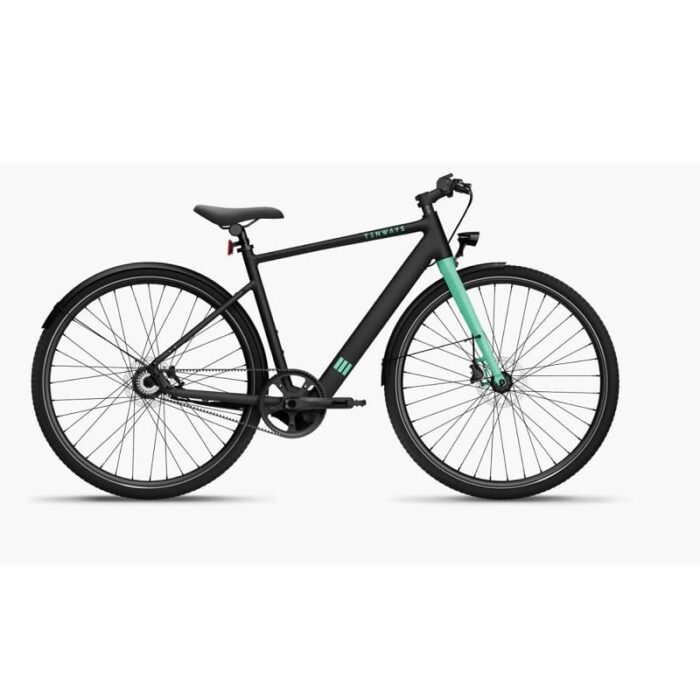 VTC-Electrique-Tenways-CGO600.jpg