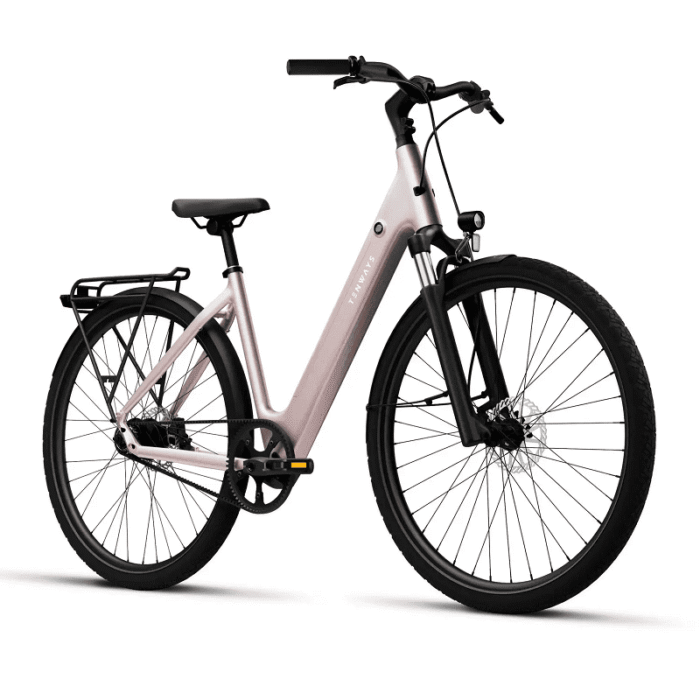 VTC-Electrique-Tenways-CGO800S-5.png