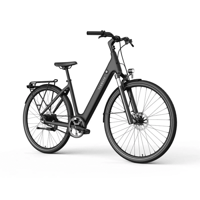 VTC-Electrique-Tenways-CGO800S-9.png