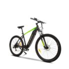 VTC-electrique-Argento-Performance-3.jpeg