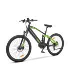 VTC-electrique-Argento-Performance-Pro-1.jpeg