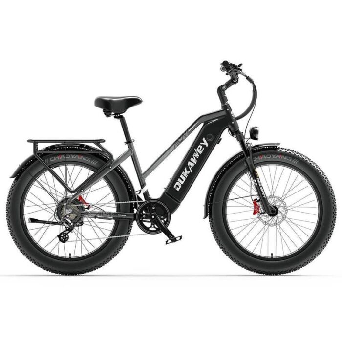 VTC-electrique-Dukawey-DM530-Plus-1000W-26-2.jpg