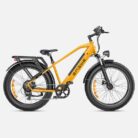 VTC-electrique-Engwe-E26-250W-26-Fat-Bike-7.jpeg